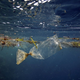 Illustration for article titled Plane Search Shows Worlds Oceans Are Full of Trash